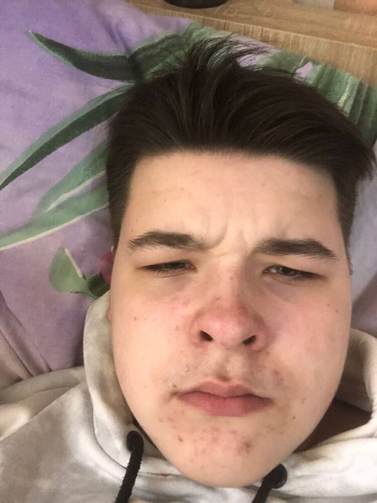  52541181  , 20 ,    
