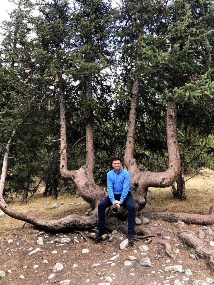 ���������� ������, ���� ������� ���������, 53 ����, ������������ ��� ����� � ���������, c�������� ���������