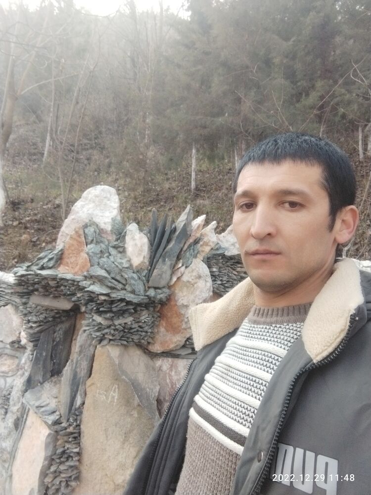 ���� 33842371 ������� ����������, 34 ����, ���� ���������� � ������