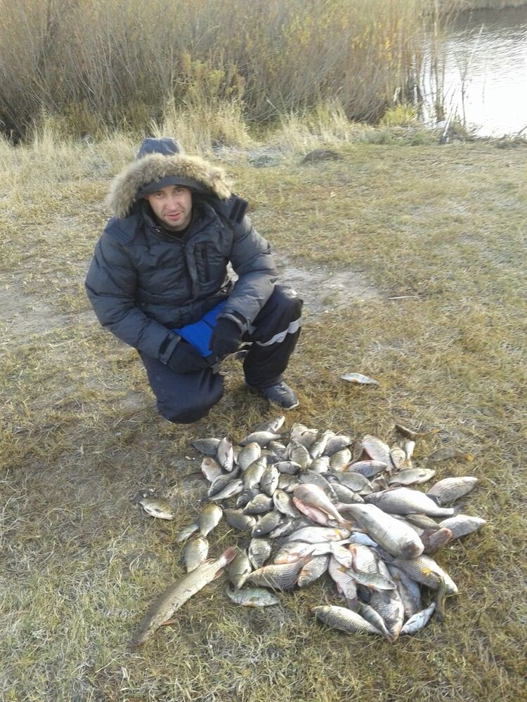 ���������� ���������, ���� ������� ���������, 41 ���, ������������ ��� ������, ����� � ���������, c�������� ���������