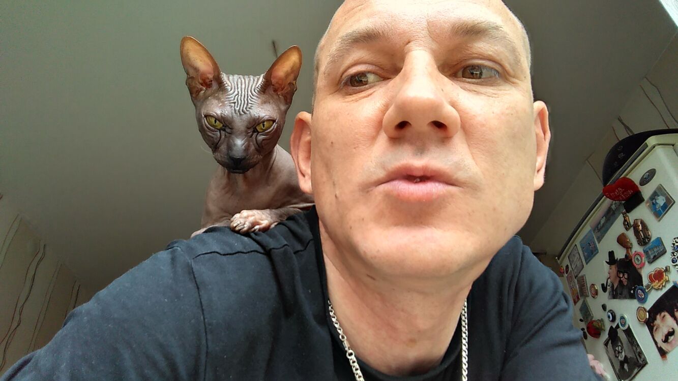  ,   , 47 ,  