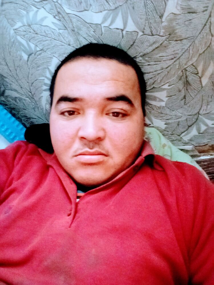 48637541  , 27 ,    