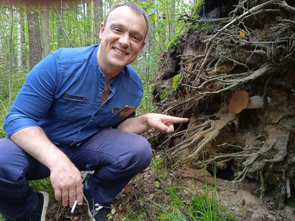  39980821  , 39 ,    -