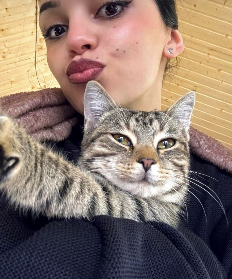 ���������� ������, ���� ������� �����, 27 ���, ������������ ��� ������, ����� � ���������, ���������