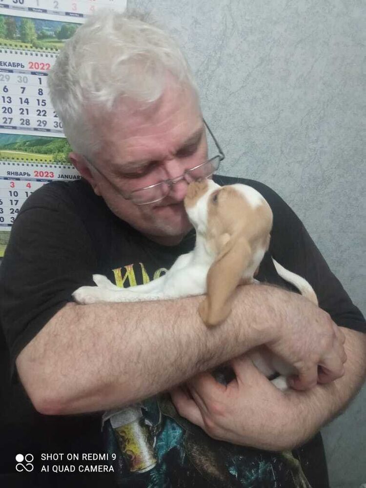 ���� 36292361 ������� ������, 64 ����, ���� ���������� � �����-����������