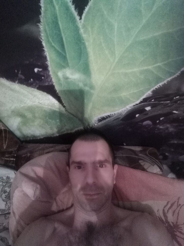 ���� 18486341 ������� �������, 44 ����, ���� ���������� � �������