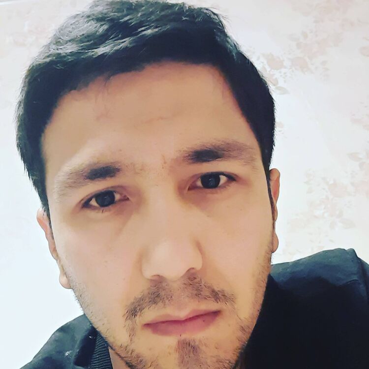  54744341  , 31 ,    -