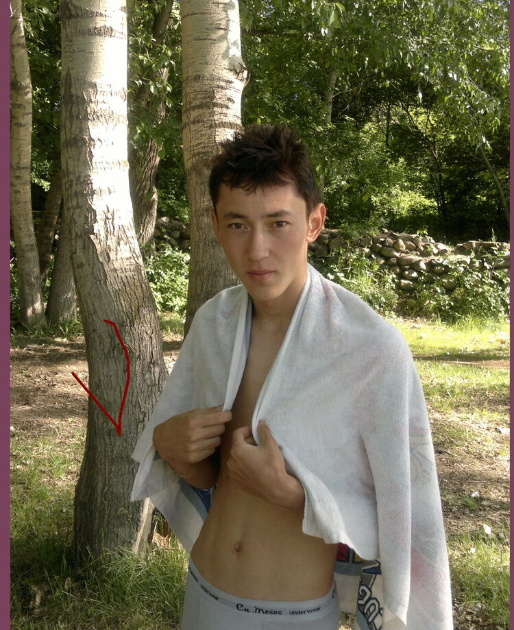 ���������� ������, ���� ������� Daniyar, 31 ���, ������������ ��� ������