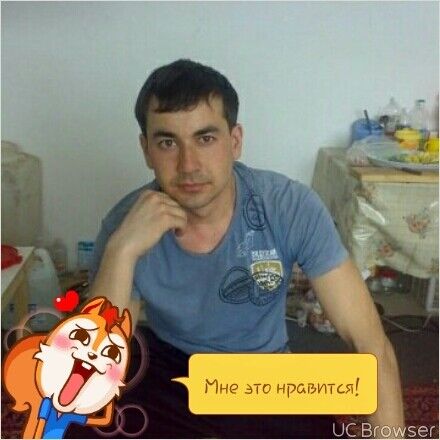 ���������� ���, ���� ������� ��������, 38 ���, ������������ ��� ������, ����� � ���������, c�������� ���������, ���������