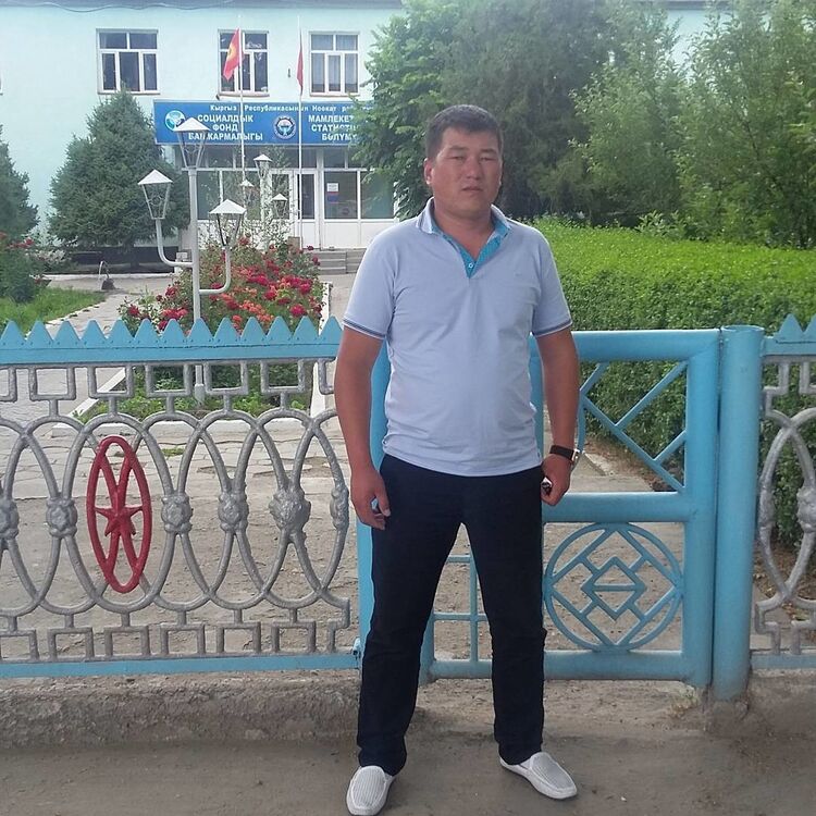 ���� 18225321 ������� ���������, 31 ���, ���� ���������� � �������