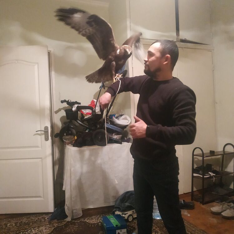  32449881  Joxongir, 38 ,    