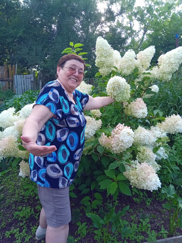  ,    , 65 ,   ,   , 