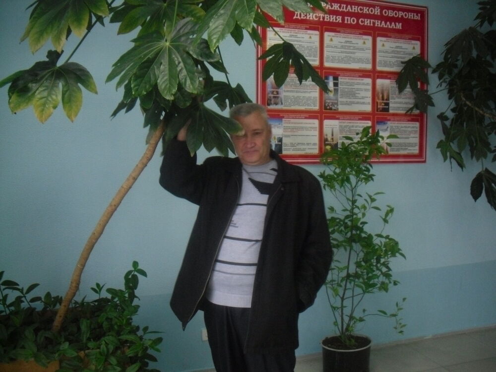  ,   , 58 ,   
