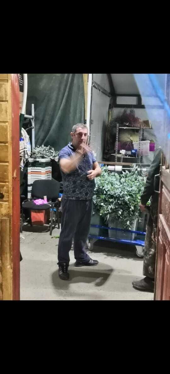 ���������� ����, ���� ������� ������, 37 ���, ������������ ��� ����� � ���������, c�������� ���������