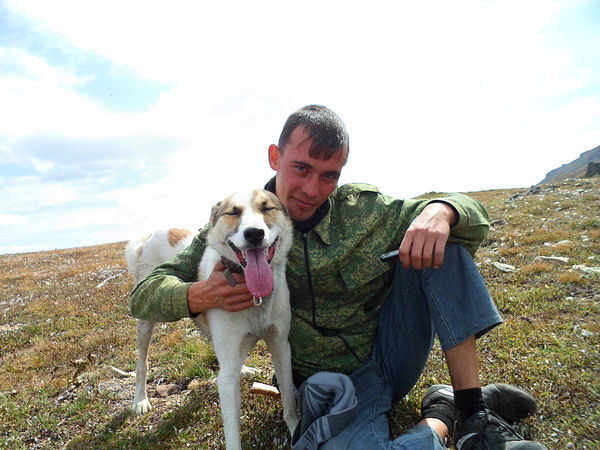 ���� 23163441 ������� ����, 36 ���, ���� ���������� � ������