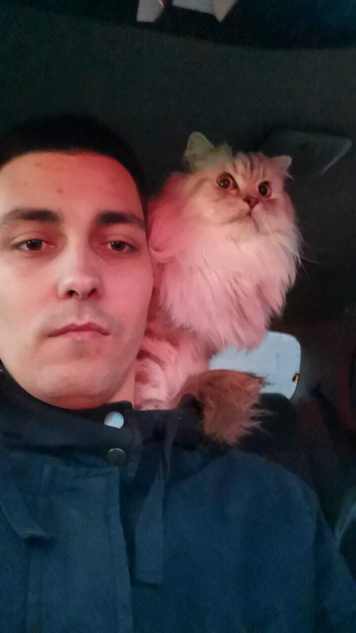 ���������� ������, ���� ������� ����, 30 ���, ������������ ��� ������, ����� � ���������