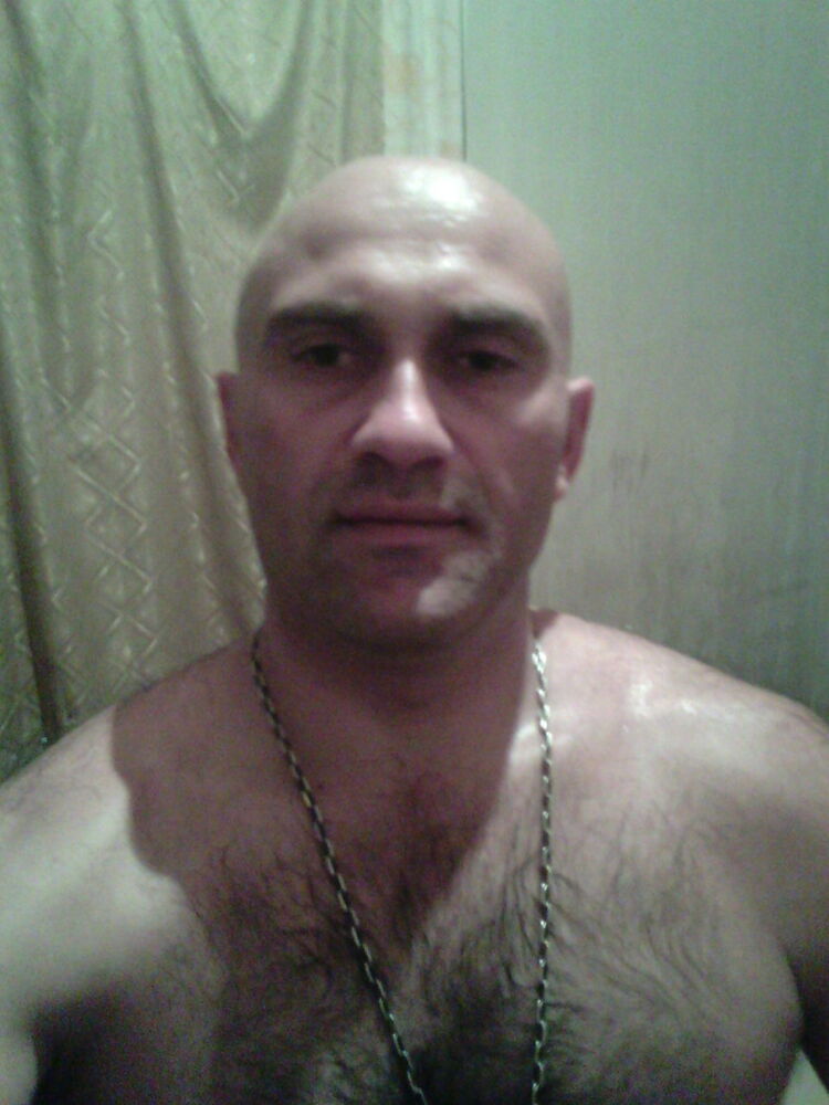 8273661  , 43 ,    