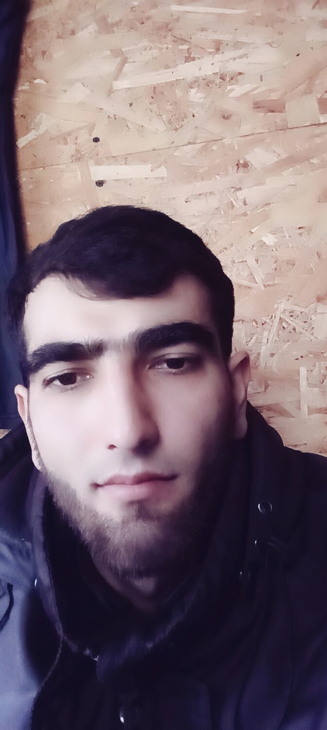  33537941  , 29 ,    