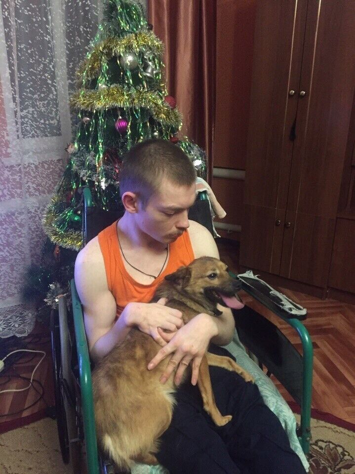 ���� 37144951 ������� ���� �������, 34 ����, ���� ���������� � �������