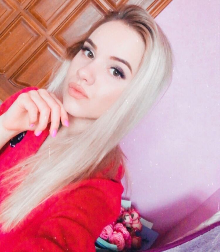  24066191  , 22 ,    