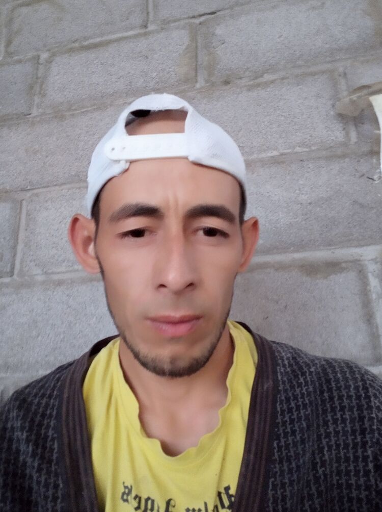  45974501  , 33 ,    
