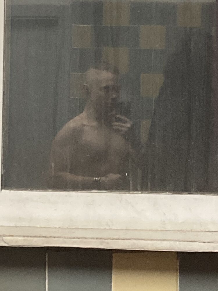  44266851  , 24 ,    