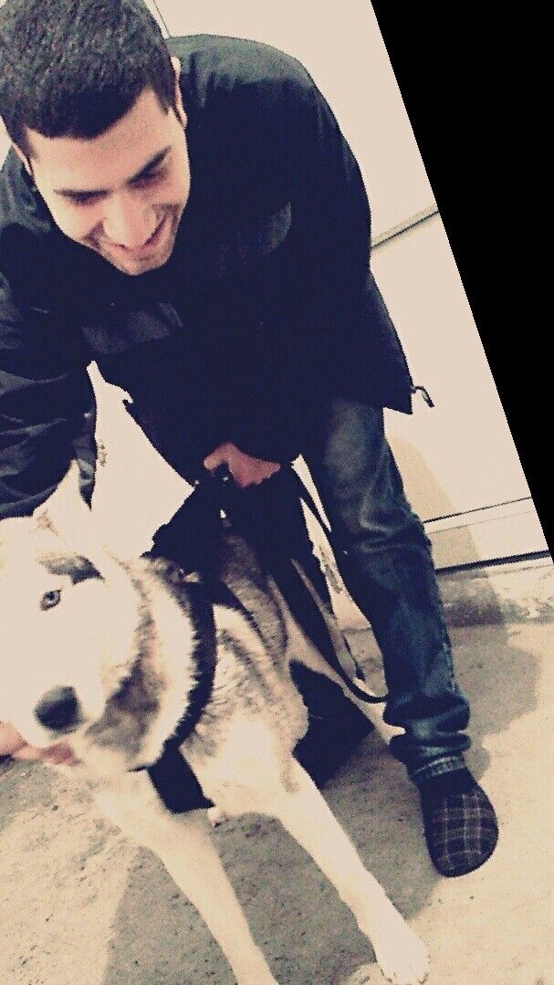 ���� 8886871 ������� Aro, 32 ����, ���� ���������� � �������