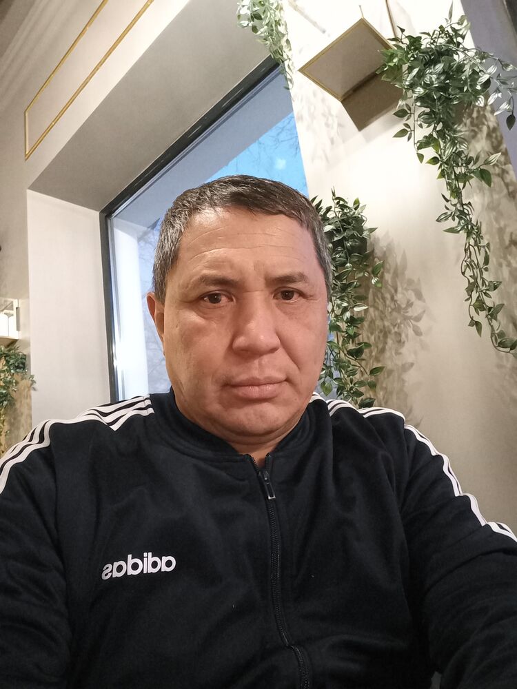  49173681  , 43 ,    