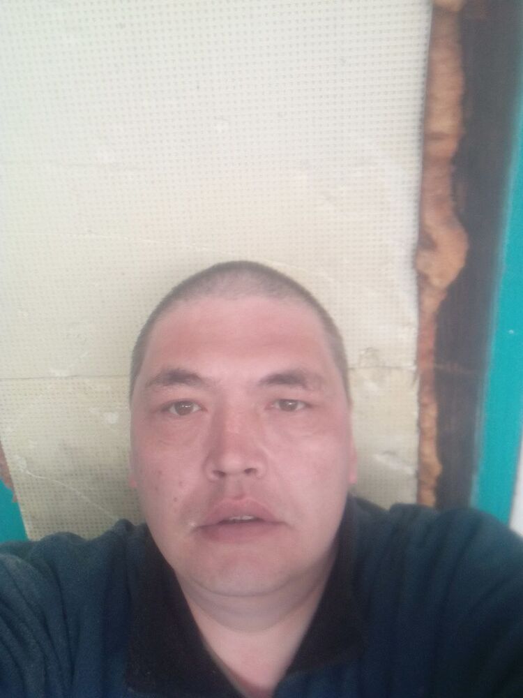  51647771  , 39 ,    -