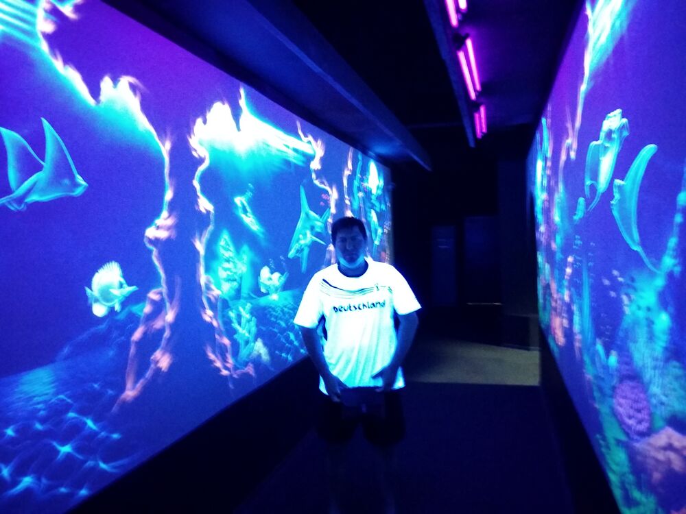 ���� 50563641 ������� ����, 41 ���, ���� ���������� � ��������