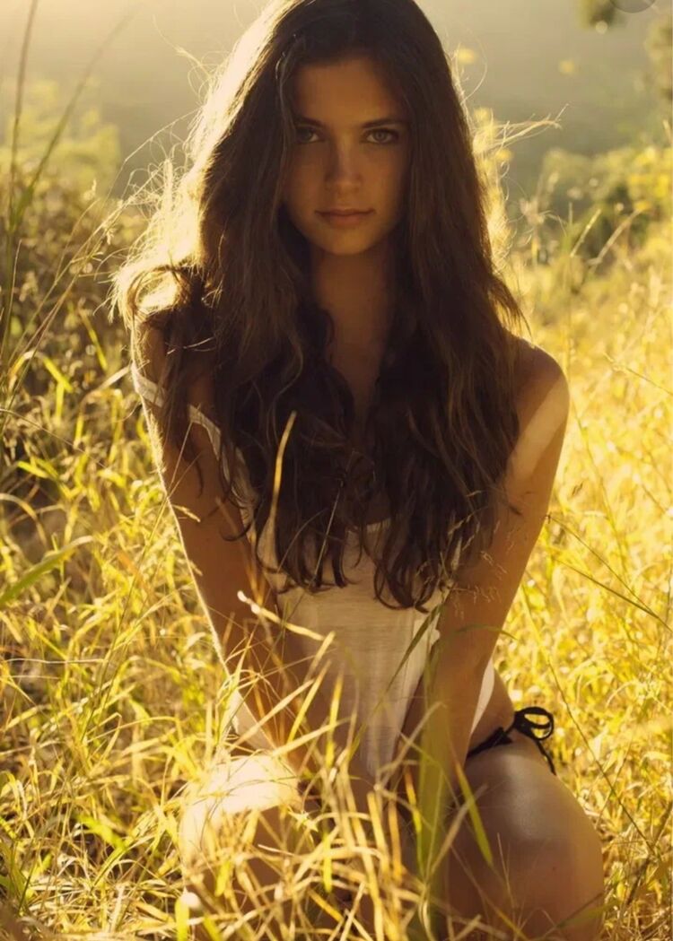  --,   , 34 ,   ,   