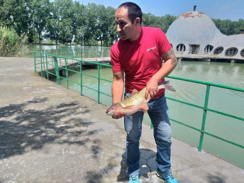 ���������� �������, ���� ������� ������, 41 ���, ������������ ��� ������, ����� � ���������, c�������� ���������