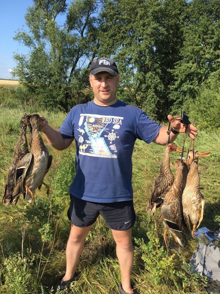  ,   , 43 ,  