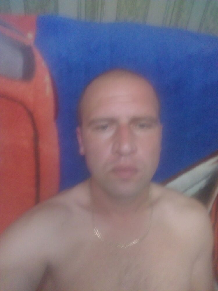  16445241  , 39 ,    