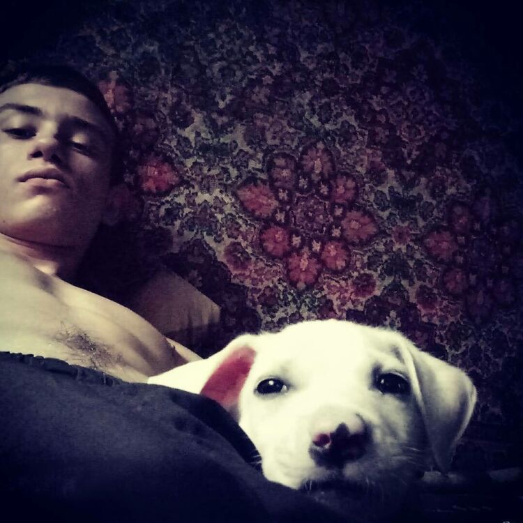 ���� 11731211 ������� ���, 26 ���, ���� ���������� � ��������