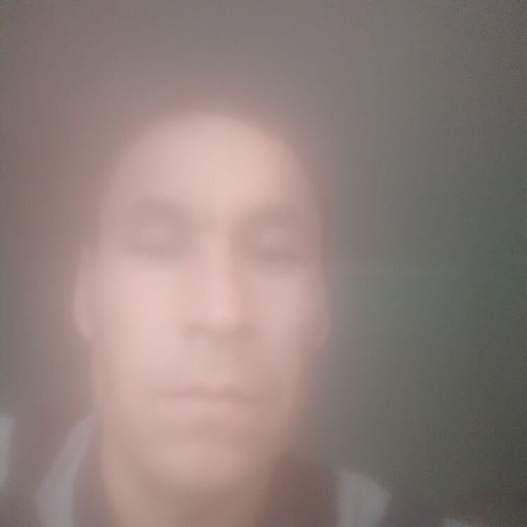  24866481  , 43 ,    