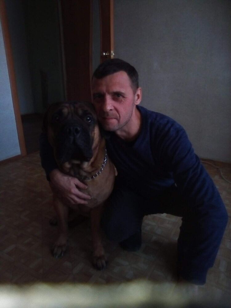 ���� 22079641 ������� ������, 48 ���, ���� ���������� � ������