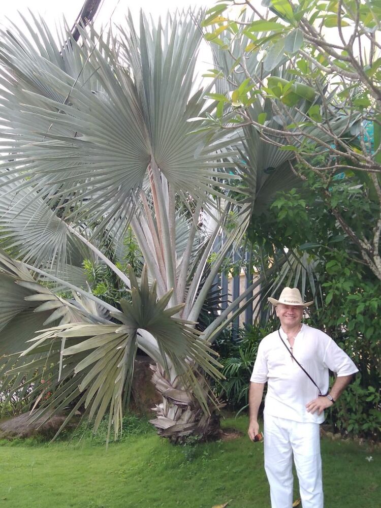 ���� 55785841 ������� ������, 68 ���, ���� ���������� � �������������