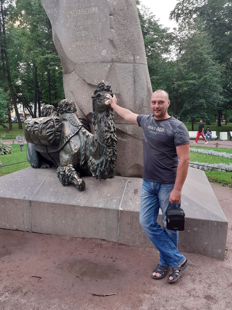 ���� 49402941 ������� ������, 40 ���, ���� ���������� � ��������