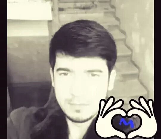 ���� 20413831 ������� ����, 33 ����, ���� ���������� � ������