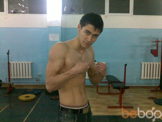  ,   TIMUR, 33 ,   ,   , c 