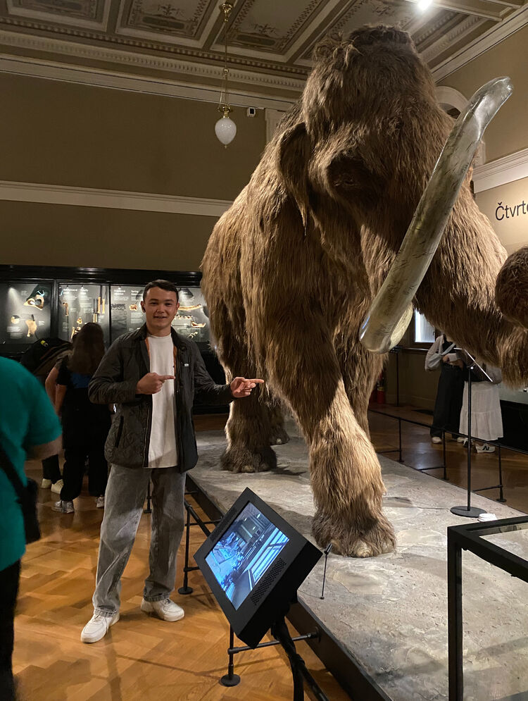 ���� 55627461 ����� ������, 24 ����, ���� ���������� � ���