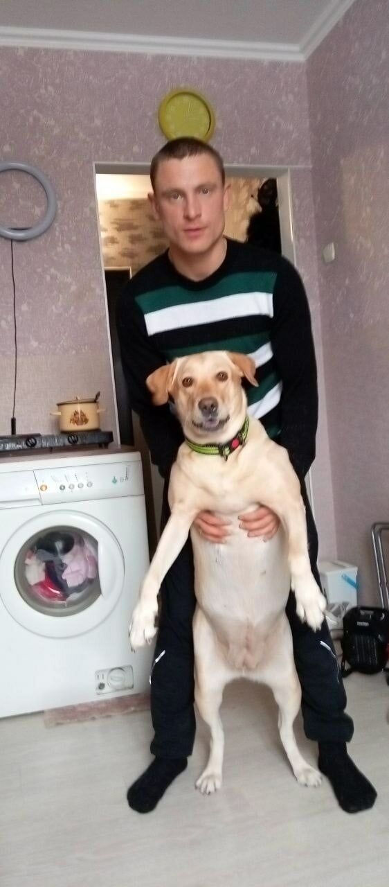 ���� 30832981 ������� Slava, 31 ���, ���� ���������� � ������������