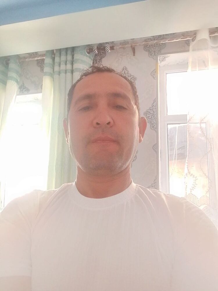  46327501  , 43 ,    
