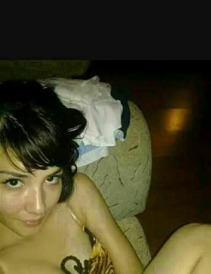 15641811  , 33 ,    
