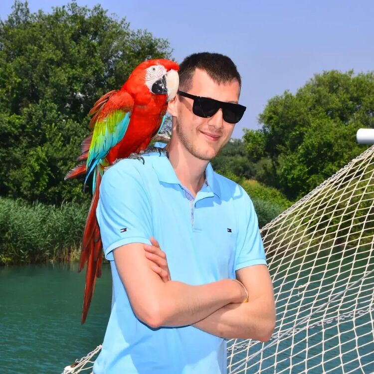 ���� 54932751 ������� ������, 33 ����, ���� ���������� � ������