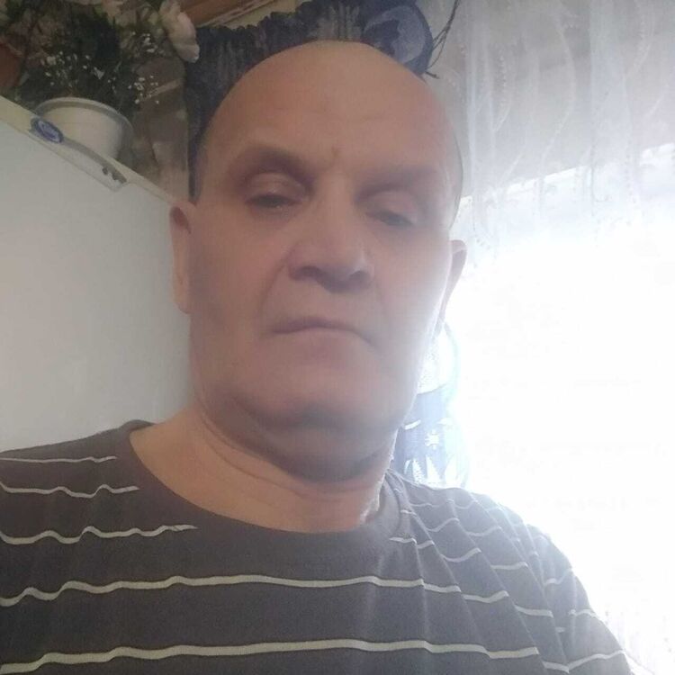  33603741  , 56 ,    