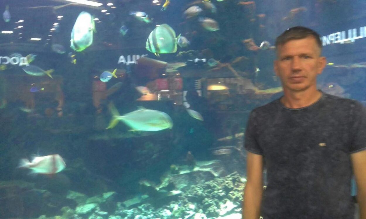  ,   ϸ, 51 ,  