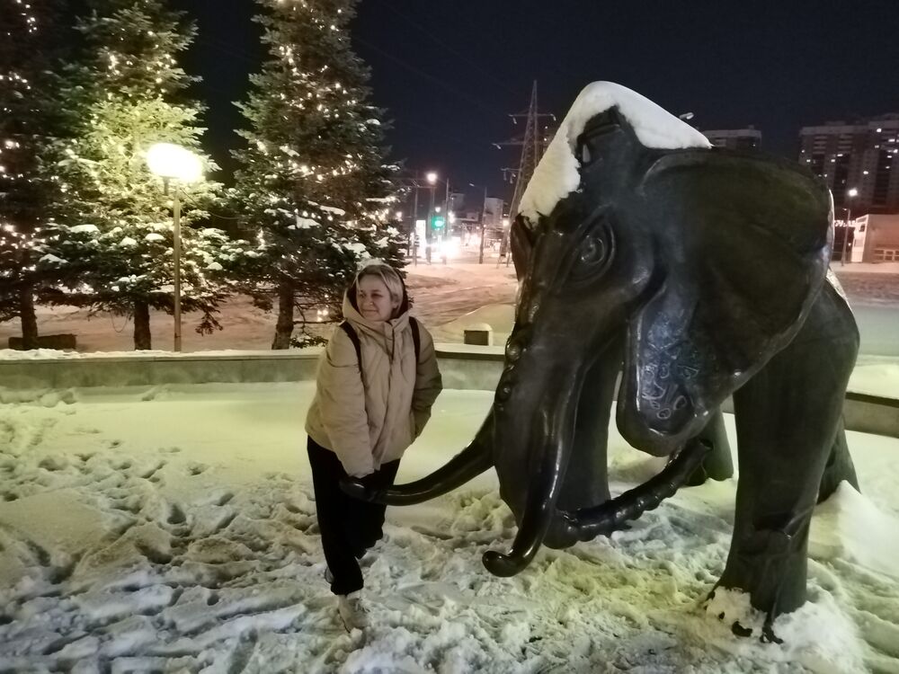 ���� 56101131 ������� �������, 44 ����, ���� ���������� � ������