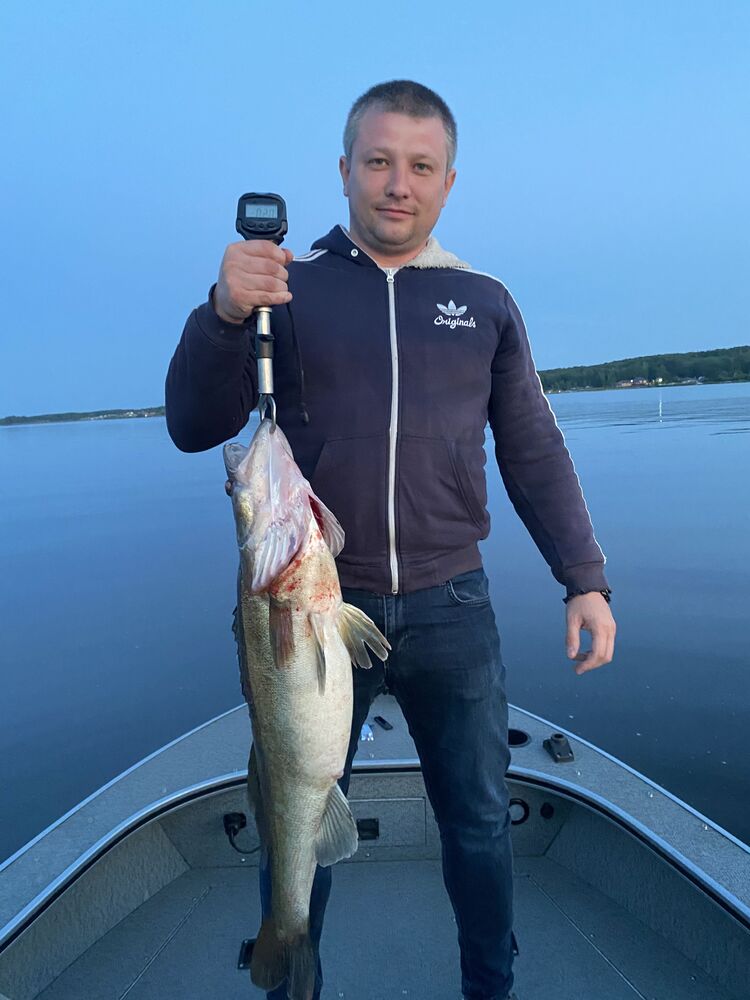 ���� 35385891 ������� �������, 38 ���, ���� ���������� � ������